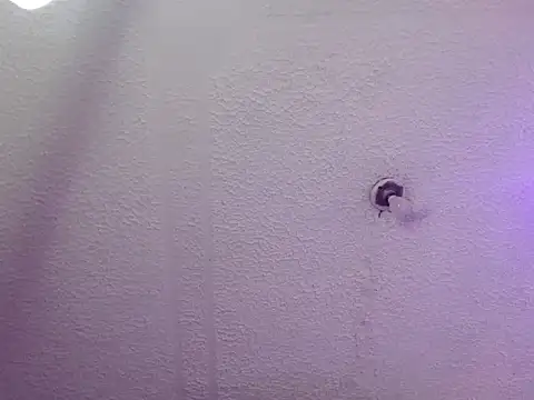 Pandora 9666 online show from October 24, 2025, 3:25 am