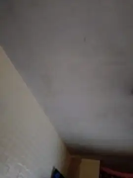 JairElGrillo online show from November 11, 2025, 10:10 pm