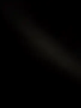 wildfun  online show from November 24, 2025, 8:47 am