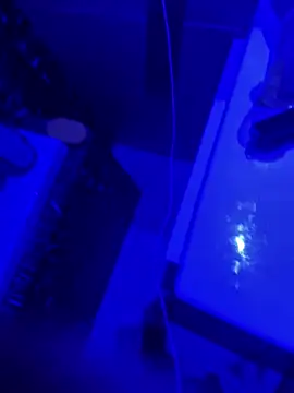 gryzoon online show from March 20, 2026, 5:12 am