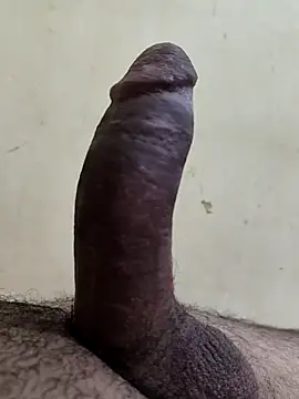 Snapshot of alkhabiir chatting on November 25, 2025, 6:08 pm alkhabiir online show from November 25, 2025, 6:08 pm