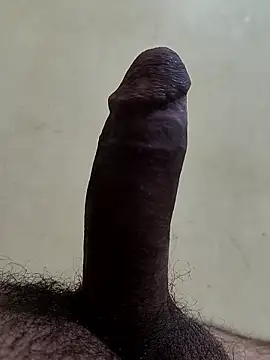 Snapshot of alkhabiir chatting on January 8, 2026, 8:44 pm alkhabiir online show from January 8, 2026, 8:44 pm