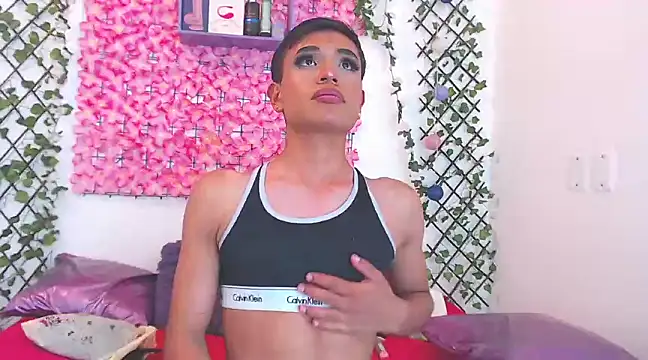 willians   0 online show from March 19, 2025, 9:49 am