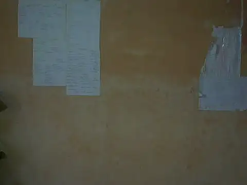 mayra89 online show from July 28, 2026, 1:01 am