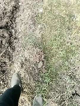 himvilohi08 online show from January 18, 2026, 4:05 am