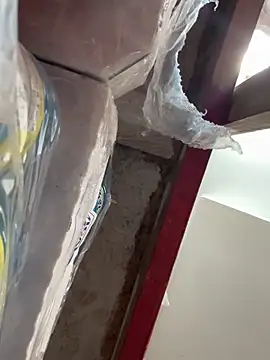 Snapshot of wainer02 chatting on March 11, 2025, 1:12 pm wainer02 online show from March 11, 2025, 1:12 pm