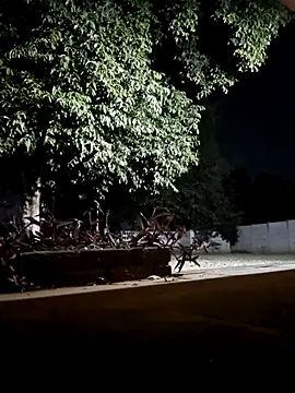 Snapshot of bakedsnackmmh chatting on February 19, 2026, 9:33 pm bakedsnackmmh online show from February 19, 2026, 9:33 pm