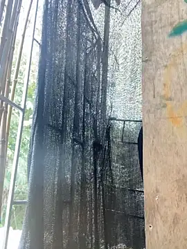 val zx online show from March 27, 2026, 5:56 pm