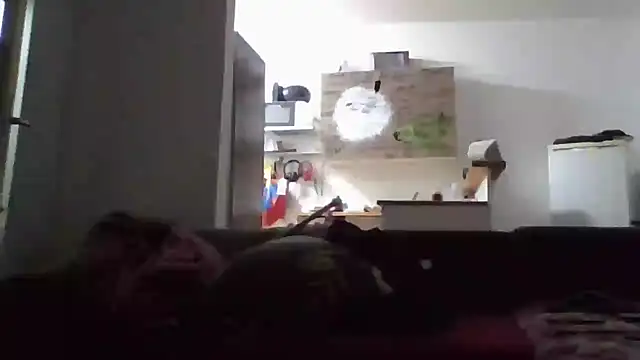 Snapshot of ThePython666 chatting on November 17, 2025, 5:08 pm ThePython666 online show from November 17, 2025, 5:08 pm