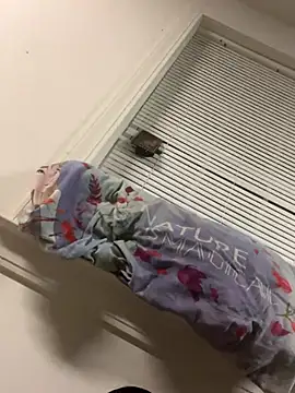 Snapshot of YAHIRALEJANDRIIIIII chatting on October 7, 2025, 6:54 am YAHIRALEJANDRIIIIII online show from October 7, 2025, 6:54 am