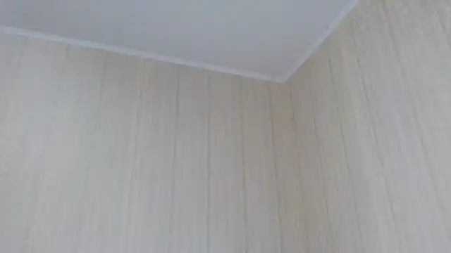 Snapshot of _Black-Panther_ chatting on October 2, 2025, 10:55 am Black-Panther online show from October 2, 2025, 10:55 am