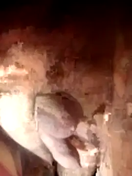 Snapshot of Ayush_pussy_fucker chatting on November 23, 2025, 6:08 pm Ayush pussy fucker online show from November 23, 2025, 6:08 pm