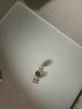 maar tina online show from October 13, 2025, 9:59 pm