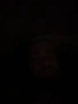 Bear2323 online show from May 20, 2026, 4:07 am