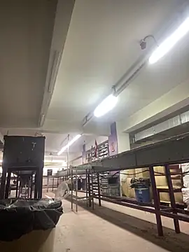 giyasbvnghkgkfk online show from April 13, 2026, 7:25 am