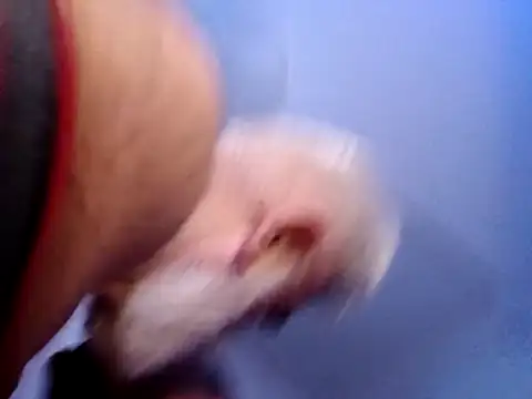 CloudyMuscleBeefy online show from November 26, 2025, 5:58 pm