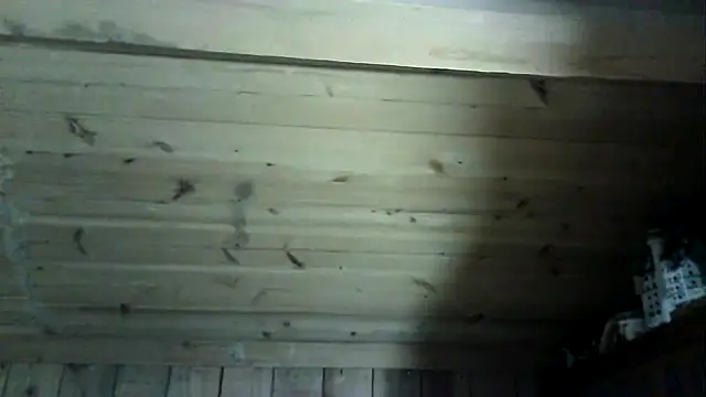 Angelsordemons6 online show from March 4, 2026, 8:26 pm