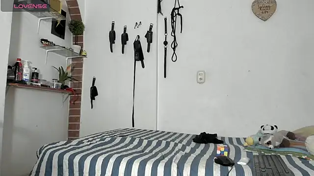 morbo total69 online show from March 11, 2026, 10:16 pm