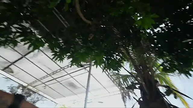 GGmansion01 online show from September 17, 2025, 12:18 pm