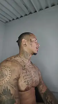 David tatto1 online show from May 15, 2026, 1:12 am