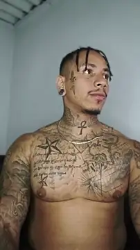 David tatto1 online show from June 11, 2026, 4:10 am
