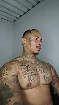David tatto1 online show from June 21, 2026, 3:53 am