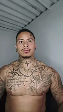 David tatto1 online show from July 11, 2026, 2:03 am