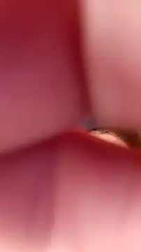 Fox Roxxan online show from September 22, 2025, 6:32 pm