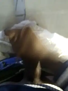 Snapshot of 92donis chatting on November 20, 2025, 7:24 pm 92donis online show from November 20, 2025, 7:24 pm