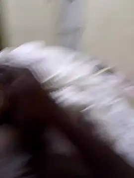 Snapshot of 92donis chatting on December 18, 2025, 7:31 pm 92donis online show from December 18, 2025, 7:31 pm