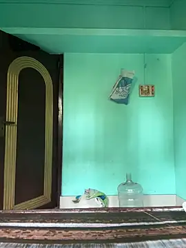 kabaddiboy online show from March 14, 2026, 4:51 am