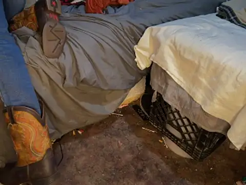 Snapshot of HodgeVibes chatting on March 1, 2026, 2:13 am HodgeVibes online show from March 1, 2026, 2:13 am