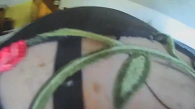 VanessaSissyGay online show from November 27, 2025, 11:01 am