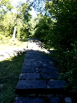 Snapshot of zack23088 chatting on October 4, 2025, 12:41 am zack23088 online show from October 4, 2025, 12:41 am