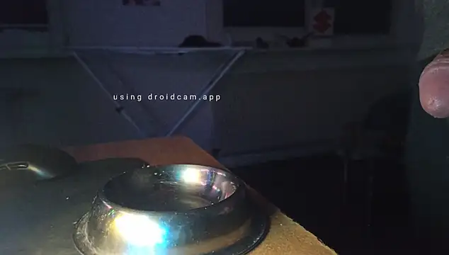 Snapshot of Thompsen1992 chatting on November 4, 2025, 2:43 am Thompsen1992 online show from November 4, 2025, 2:43 am