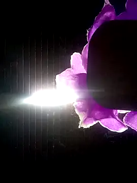 Ridick2025 online show from October 8, 2025, 11:13 pm