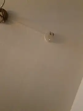 Snapshot of LightskinBumpa chatting on November 15, 2025, 2:09 am LightskinBumpa online show from November 15, 2025, 2:09 am