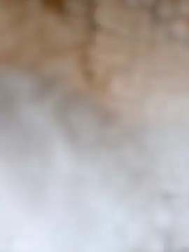 Radsjxh online show from December 17, 2025, 7:42 pm