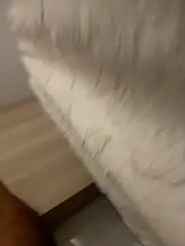 DoctorArabe3 online show from February 12, 2026, 11:05 am