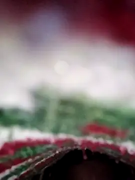 ParousFlow online show from February 13, 2026, 11:28 am