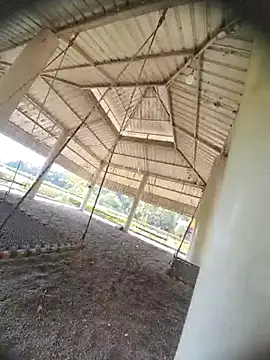 Snapshot of Desi_Horny_Boys chatting on October 21, 2025, 8:26 am Desi Horny Boys online show from October 21, 2025, 8:26 am