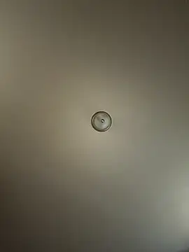 curis4270panda online show from October 20, 2025, 8:42 pm