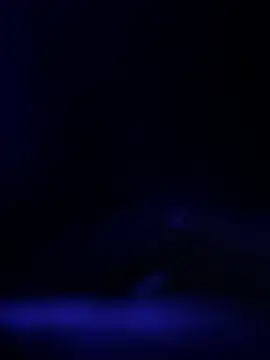 curis4270panda online show from February 19, 2026, 11:39 am