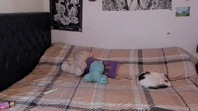 Snapshot of chloe_kisses chatting on September 25, 2025, 11:47 am chloe kisses online show from September 25, 2025, 11:47 am