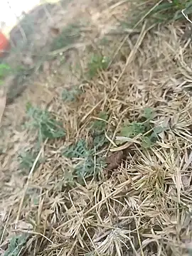 mkallu1995 online show from March 5, 2026, 6:09 am