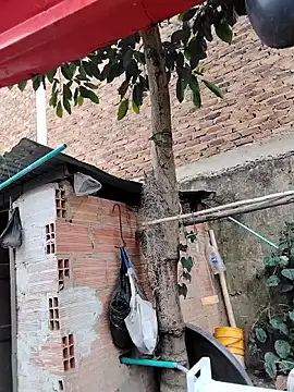 You-sexy-starr online show from October 9, 2025, 4:38 pm