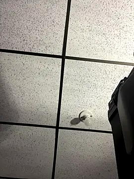 MR MUSCLE online show from September 19, 2025, 11:22 am