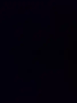 minnetird online show from December 15, 2025, 7:12 am