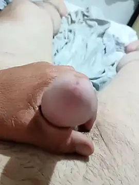  bred online show from September 28, 2025, 4:29 am