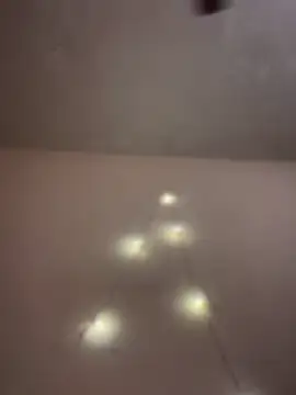 aka big online show from February 14, 2026, 6:48 pm